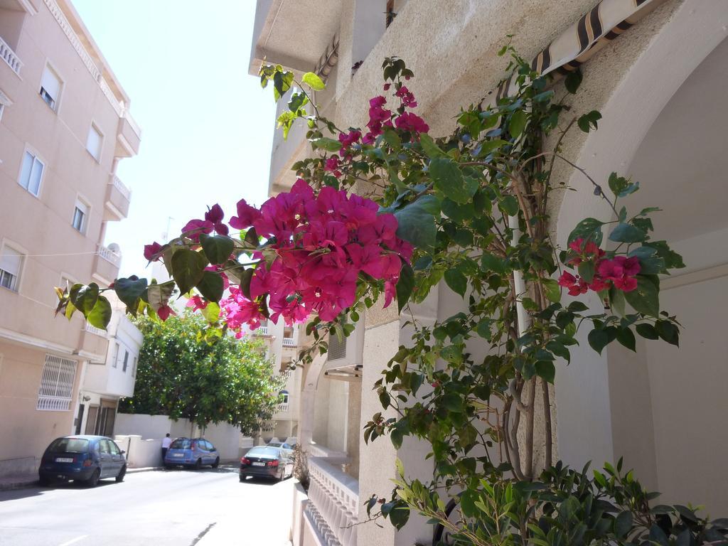 The Cozy Apartment Torrevieja Eksteriør bilde